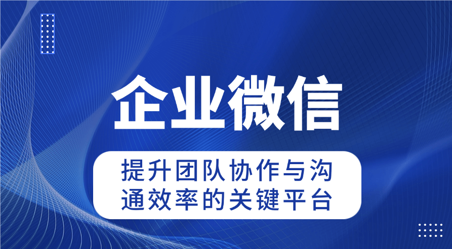 速看！钉钉专业版与普通版的差异解析